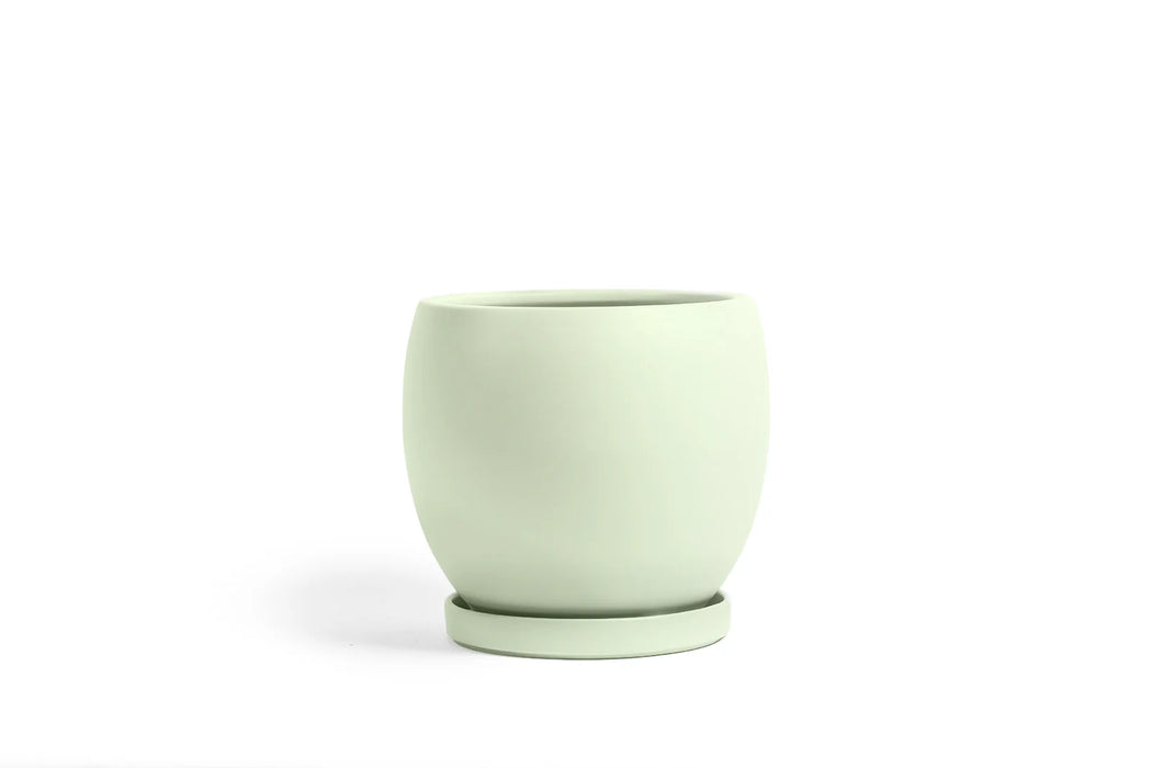 Sage Bollé Pot with Water Saucer
