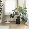 Large plant in a black Kuro planter in a bright room
