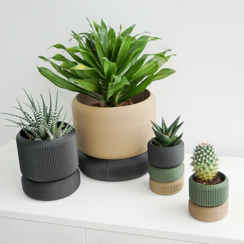 Charcoal and sand Cedar planters with succulents