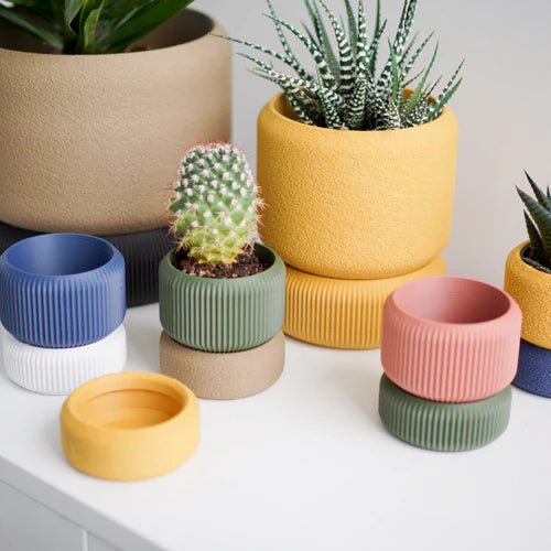 Cedar planters in several colours with succulents on a white shelf