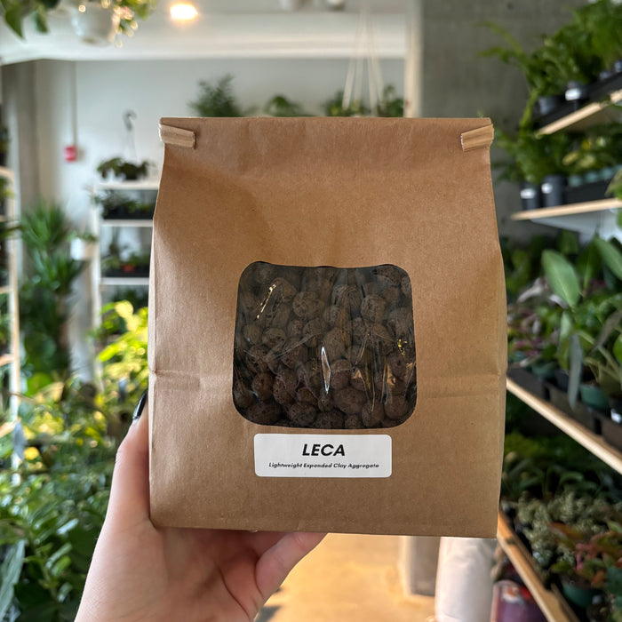 Hand holding a bag of LECA clay pebbles