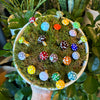 Many colourful glass mushroom spikes in moss