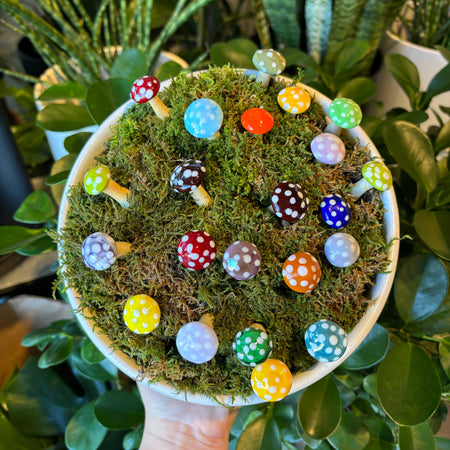 Many colourful glass mushroom spikes in moss