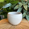 Empty white sphere planter on a woven tray