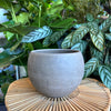 Empty dark marble sphere planter on a woven tray