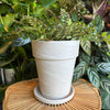 Tall white marble terracotta planter with saucer in front of plants