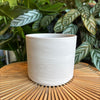 Empty white marble terracotta pillar pot