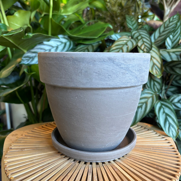 Empty rounded dark marble terracotta planter with saucer