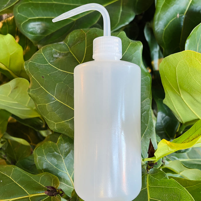 Clear squeezy watering bottle among plants