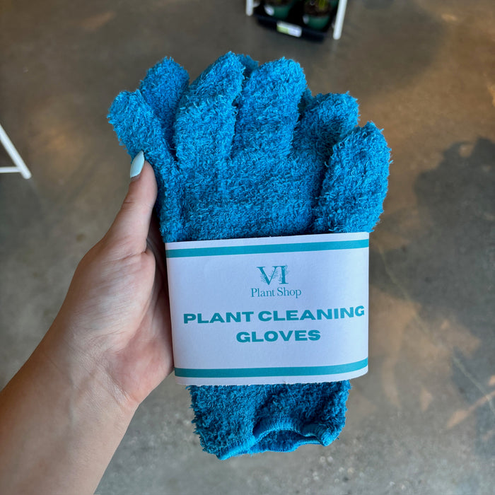 Hand holding blue plant cleaning gloves