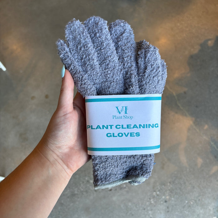 Hand holding grey plant cleaning gloves