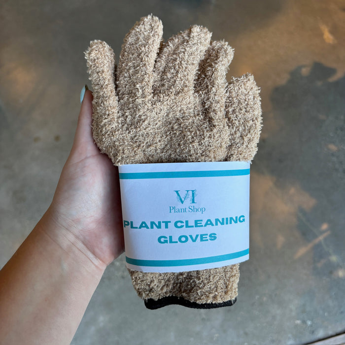 Hand holding tan plant cleaning gloves