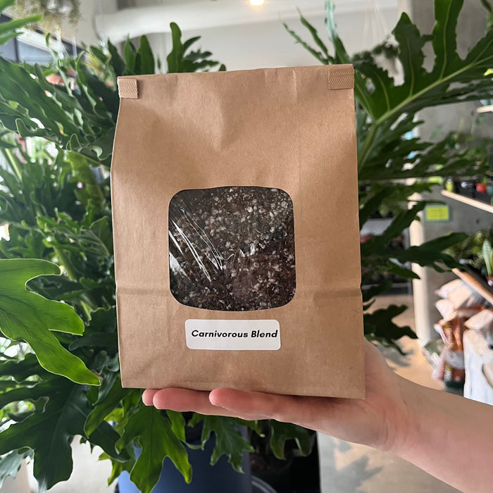 Hand holding a bag of Carnivorous Blend soil