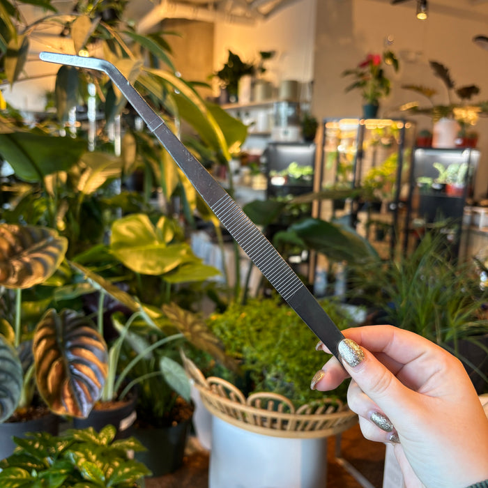 Large Tweezers
