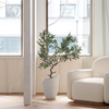 Tree in a tall angled planter in a bright living room