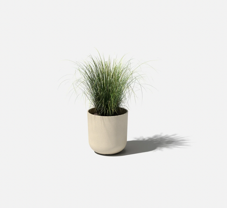 Grassy plant in a sandstone Mason Kona planter
