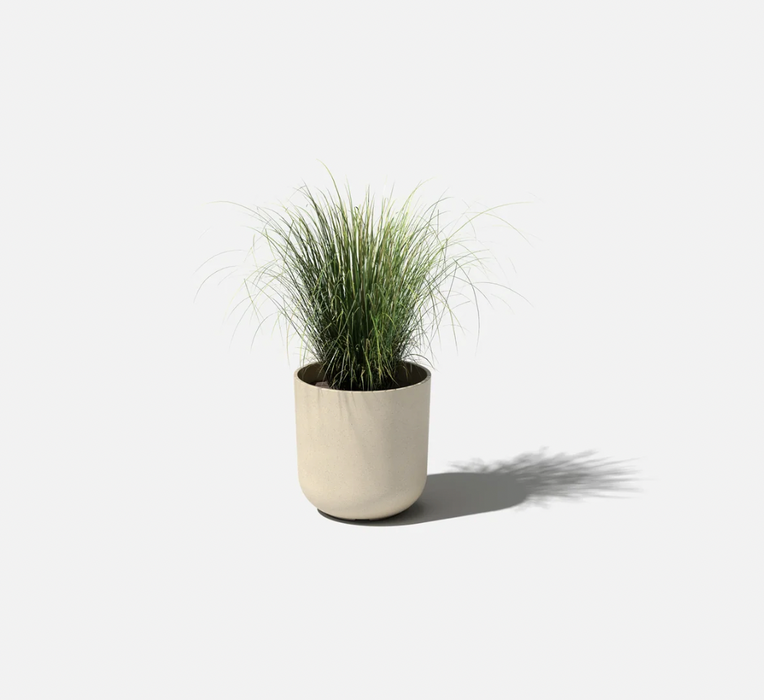 Grassy plant in a sandstone Mason Kona planter