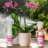 Orchid Grow and Bloom sprays beside a pink orchid