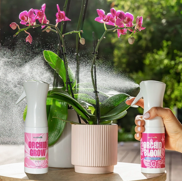 Orchid Grow and Bloom sprays beside a pink orchid