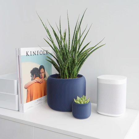 Plant in a midnight blue Pine planter on a white shelf