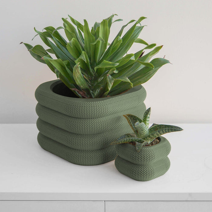 Olive Yew Planter