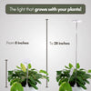 LED plant light shown at 8 inch and 28 inch heights over plants