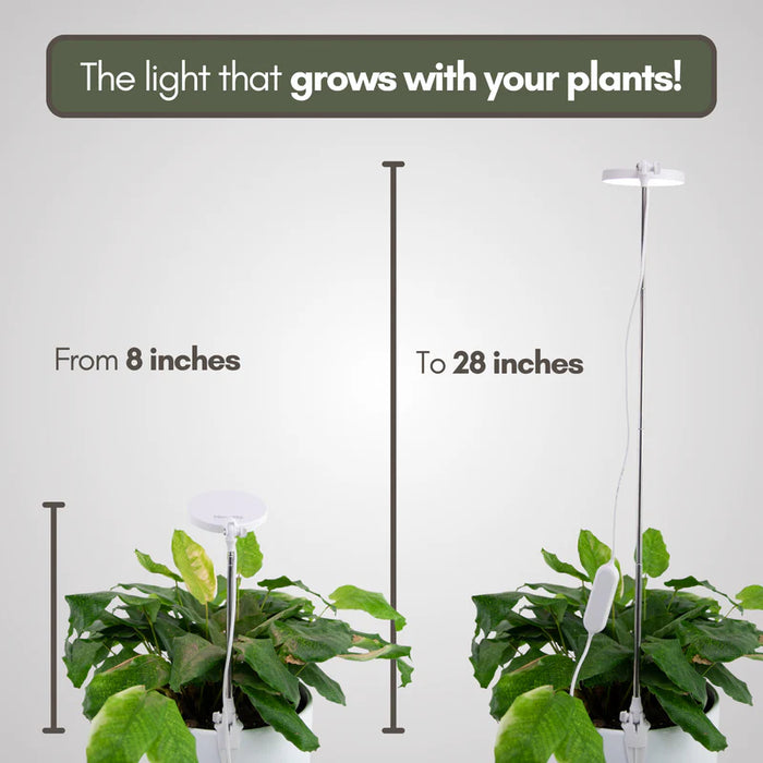 LED plant light shown at 8 inch and 28 inch heights over plants