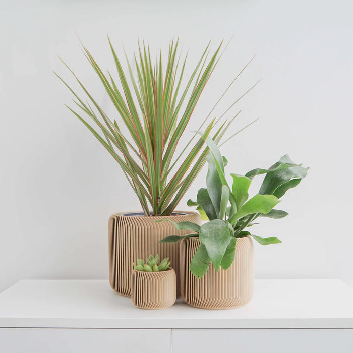 Tan Pine Planter