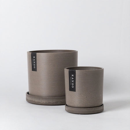Two beachwood-coloured smooth finish planters with matching trays