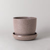 Empty nut husk planter with saucer, larger size