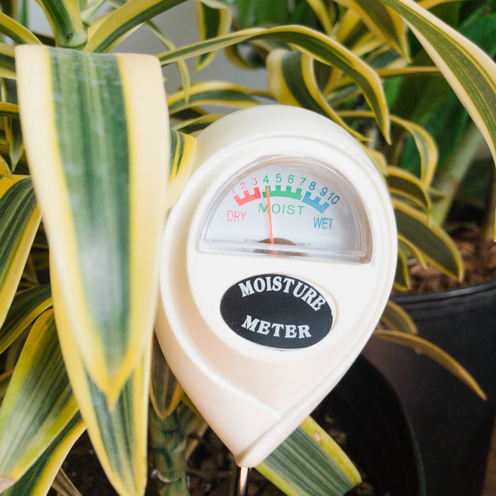 Tools + Watering