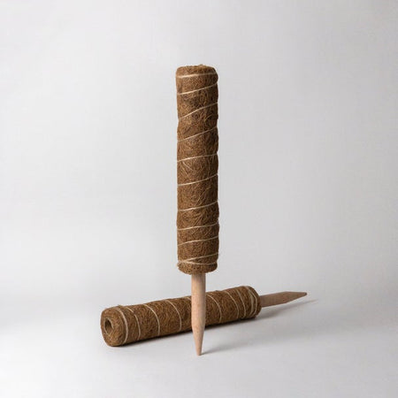 Large coco coir pole with wooden stake