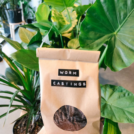 Bag of worm castings among plants