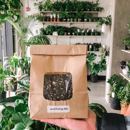 Hand holding a bag of Arid Potting Mix in the shop