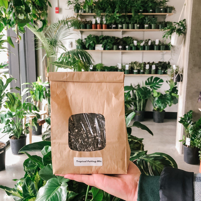 Gifts Under $25