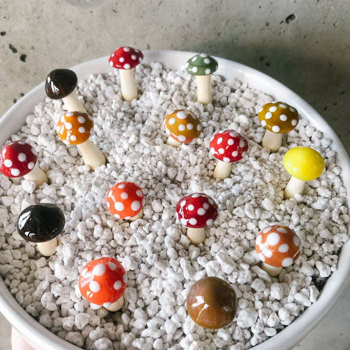 Glass mushroom spikes in white pebbles