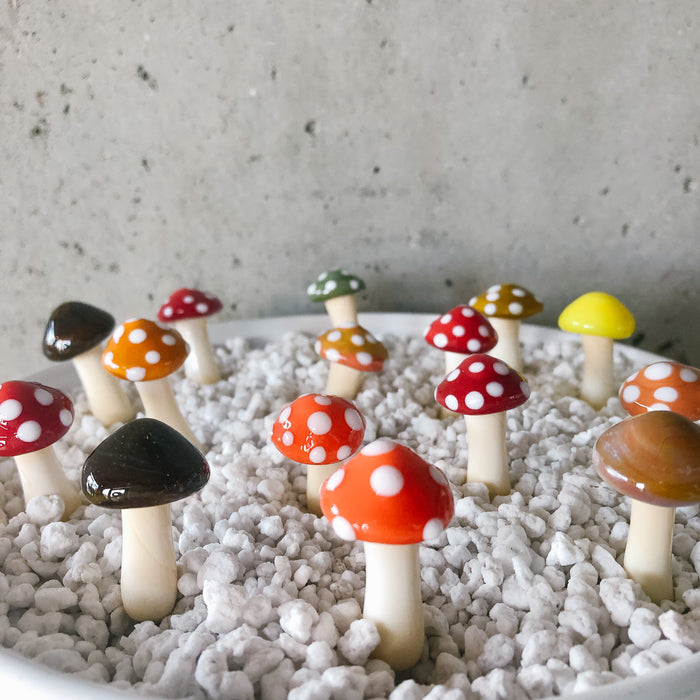 Red, orange and brown glass mushroom spikes in white pebbles