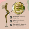 Close-up of a sphagnum moss pole with product features