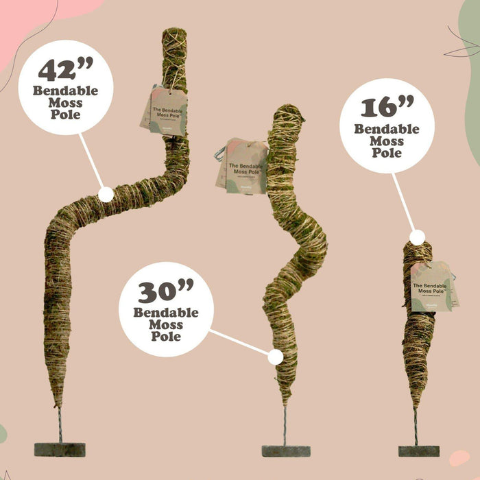Bendable moss poles shown in three heights