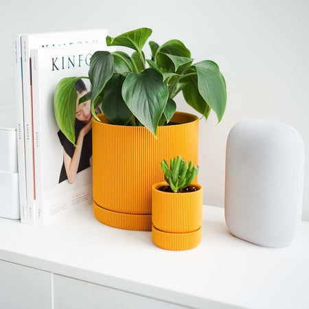 Plant in a mustard yellow Hemlock planter on a white shelf