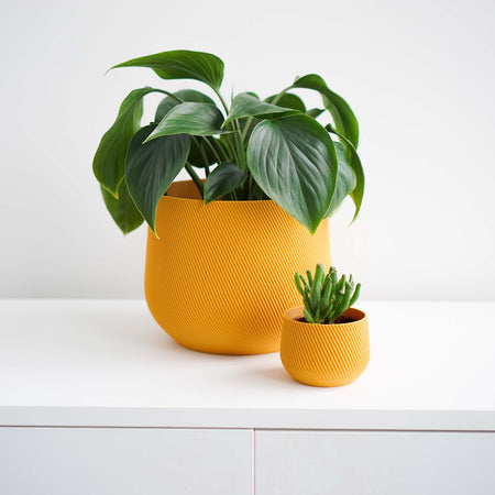 Plant in a mustard yellow Juniper cover pot on a white shelf