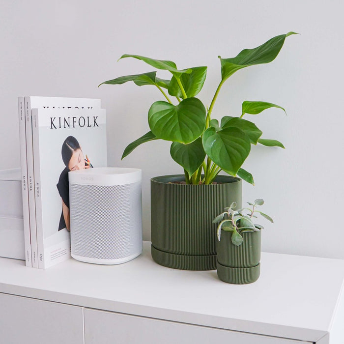 Pothos in an olive Hemlock planter on a white shelf
