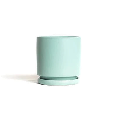Pale sea glass green cylinder pot with matching water tray