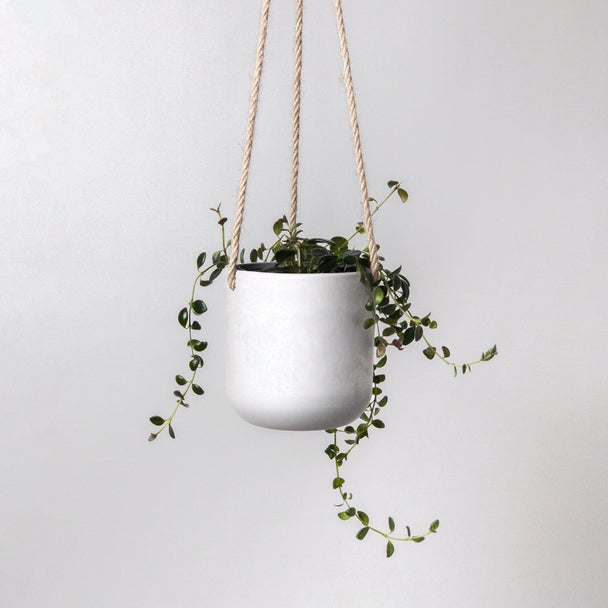 Trailing plant in a white Signature Stone hanging planter