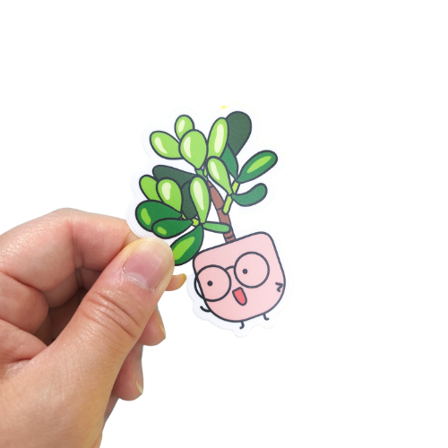 Crassula Ovata Vinyl Sticker