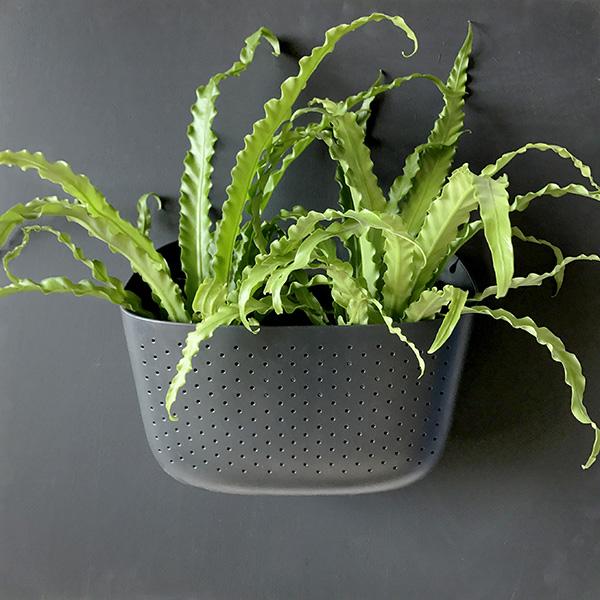 Charcoal Eco Wall Planter