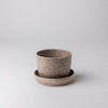 Empty small nut husk planter with saucer