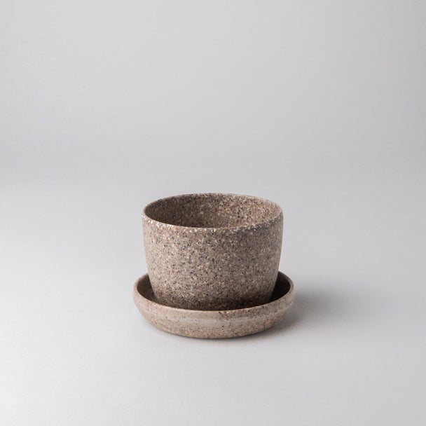 Empty small nut husk planter with saucer