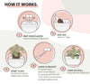 Diagram showing how to mount the Wally Eco wall planter